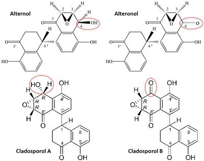 Alternol/Alteronol: Potent Anti-cancer Compounds With Multiple Mechanistic Actions